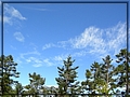 2011-10-22 12-07-16往大霸尖山途中.JPG
